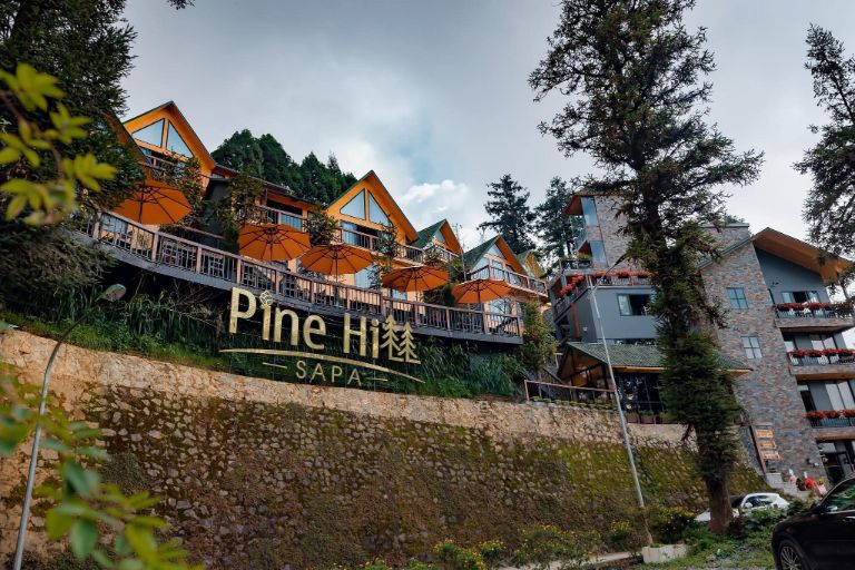 Sapa Pine Hill Eco Lodge nằm trên sườn đồi với view rừng thông cực chill (nguồn: facebook.com)