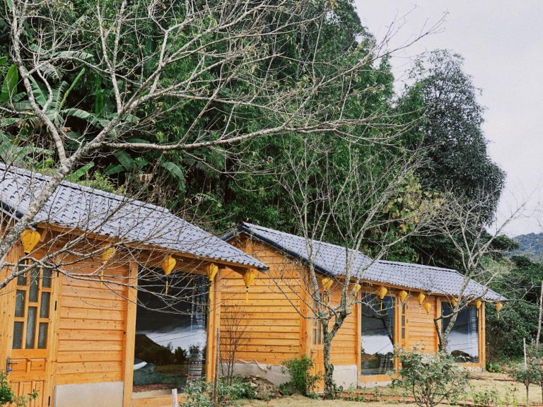 Pơ Mu Homestay Tà Xùa mang tới những căn nhà bằng gỗ nổi bật với nhiều chính sách linh hoạt