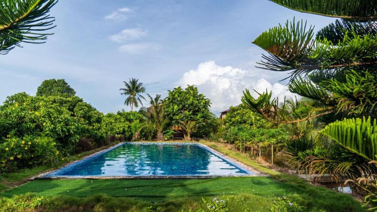 Khu vực bể bơi bao quanh bởi rặng cây xanh mướt là điểm check in cực hot tại Phuong Thao Homestay (nguồn: facebook.com)