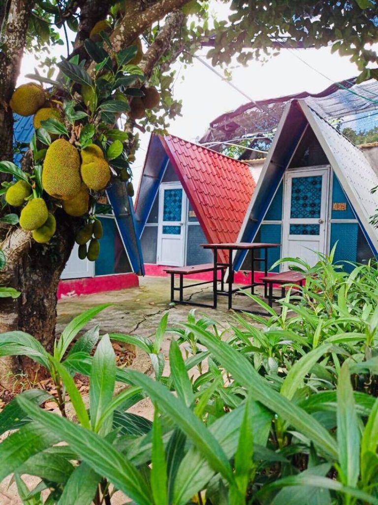 Mộc House Mộc Châu có hạng phòng tam giác được thiết kế dưới hình thức của một căn bungalow đặc biệt, cực kỳ nổi bật.