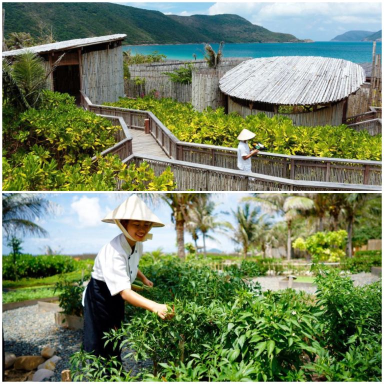 Resort Six Senses Côn Đảo là khu nghỉ dưỡng tiên phong trong phát triển môi trường bền vững (nguồn: booking.com)