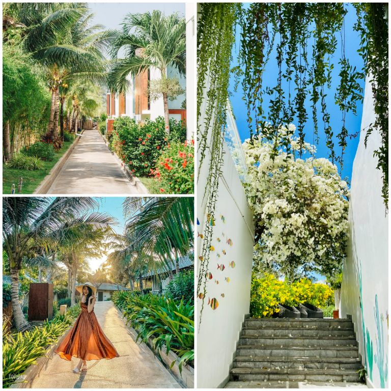 Khuôn viên resort được trồng nhiều loại cây xanh nhiệt đới và cây dây leo như hoa giấy và cúc tần Ấn Độ, tạo nên nhiều góc chụp ảnh đẹp mắt. (Nguồn: Internet)
