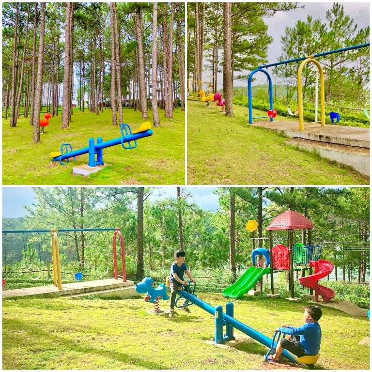 Khu vui chơi cho trẻ em được xây dựng trên thảm cỏ xanh mượt và giữa đồi thông bạt ngàn, hùng vĩ. (Nguồn: Internet) 