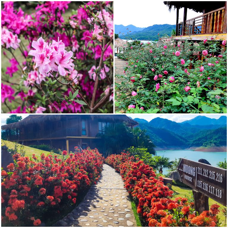 Vườn hoa rực rỡ sắc hương nằm trong khuôn viên khu resort. (Nguồn: Facebook.com) 