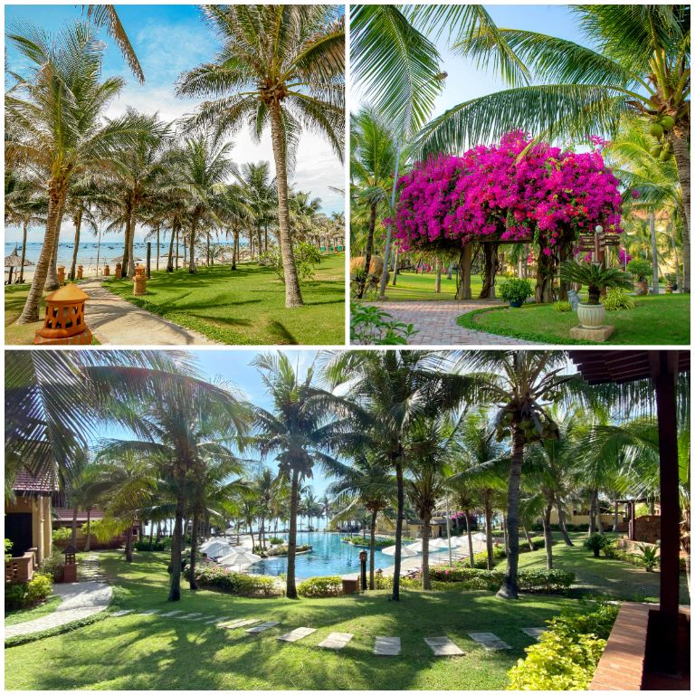 Resort sở hữu khuôn viên rộng rãi lên đến 10ha và được trồng nhiều loài cây nhiệt đới và cây hoa giấy hồng rực. (Nguồn: Internet)