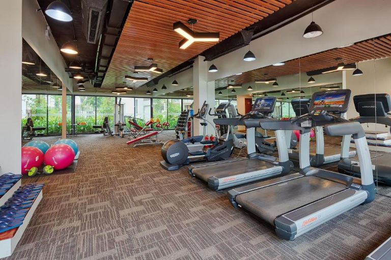 Khu nghỉ dưỡng Hạ Long này còn đem đến 1 phòng gym hiện đại với đầy đủ máy móc và trang thiết bị tập luyện tối tân. (Nguồn: Internet)