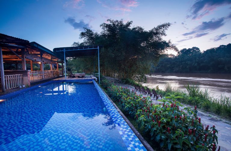 Hồ bơi tại Cat Tien Jungle Lodge là nơi thư giãn, vui chơi và tận hưởng không gian tự nhiên. 