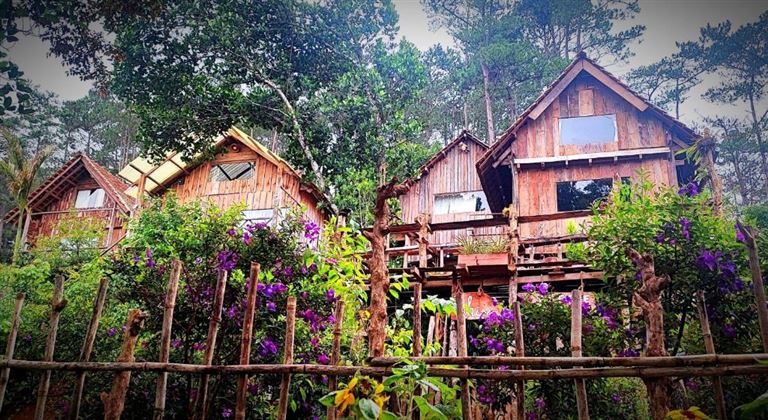 Tổ Chim Ri Homestay Măng Đen nằm trong làng du lịch Kong Pring, sở hữu tầm nhìn ra rừng thông cực chill. 