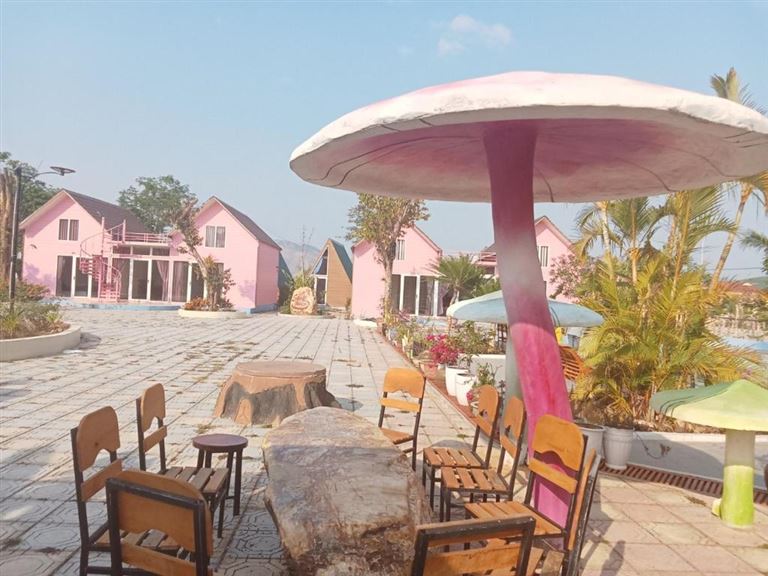 Khuôn viên homestay được decor đẹp mắt với tone màu hồng chủ đạo tạo nên các góc check-in tuyệt đẹp.