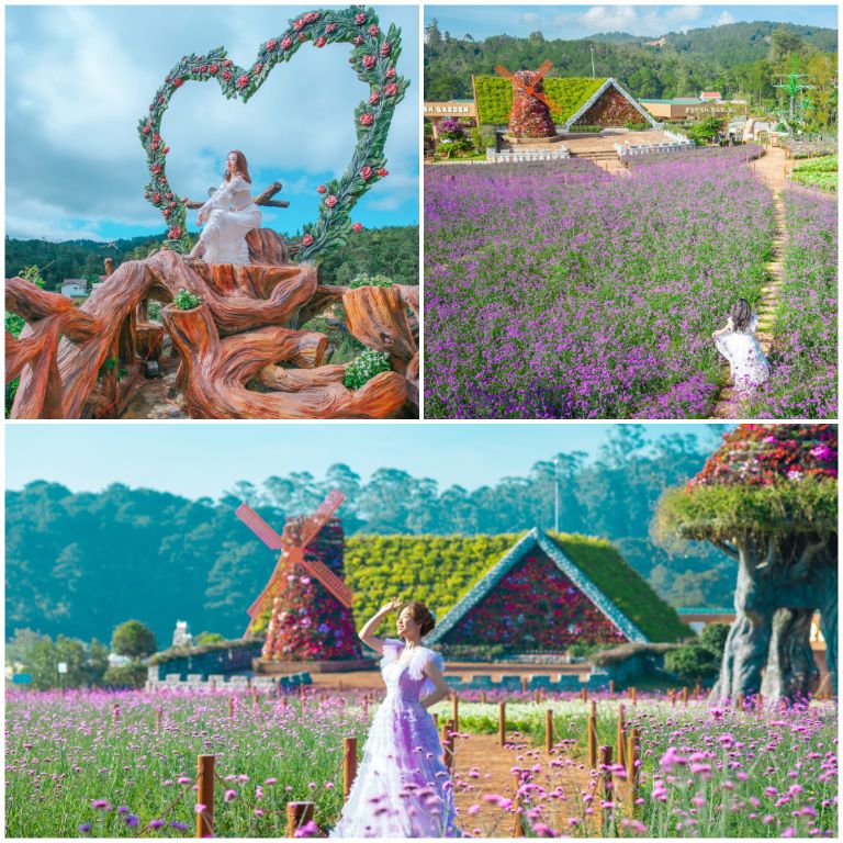 Khách Sạn Interstella Đà Lạt sở hữu diện tích vườn hoa lớn nhất và nhiều loài hoa nhất tại Đà Lạt, là khu check in nhiều tín đồ du lịch săn lùng (nguồn: booking.com)