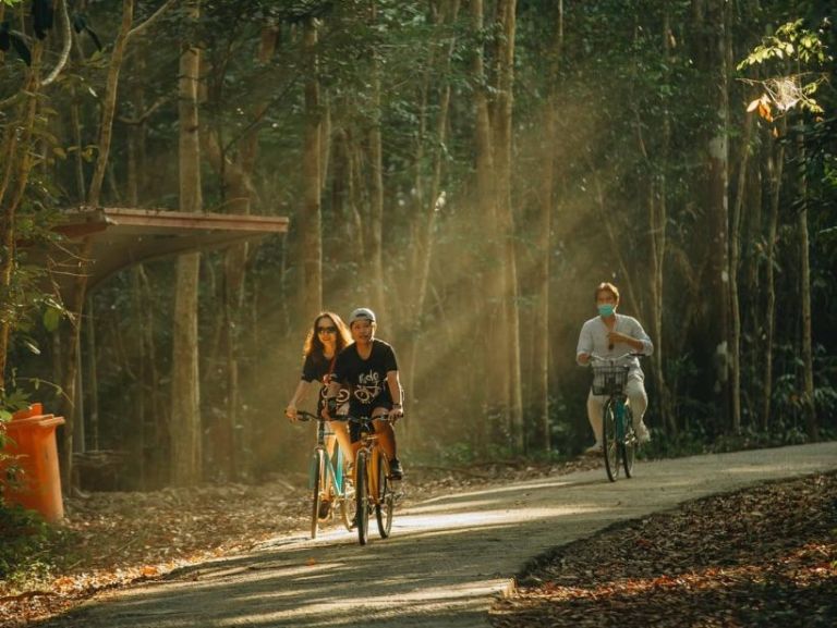 Resort cung cấp dịch vụ cho thuê xe đạp để bạn có thể khám phá vùng đất xinh đẹp này. 