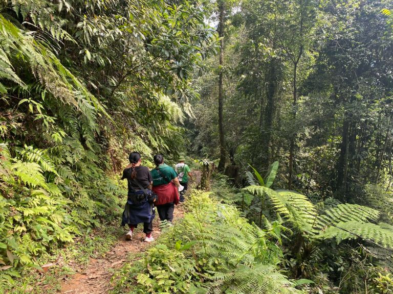 Bạn có thể lựa chọn các tuyến đường đi bộ xuyên rừng hoặc trekking đường mòn. (nguồn: Booking.com).