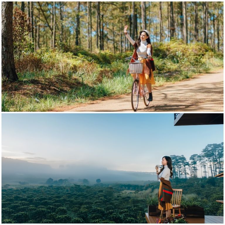 Tại The Eco Tropicana Garden, du khách có thể chụp ảnh sống ảo tại rừng thông, đạp xe ngắm cảnh. 
