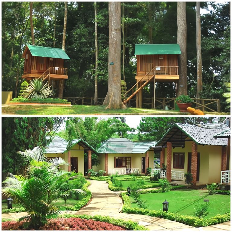 Dambri Bảo Lộc Resort sở hữu loại hình lưu trú trên cây và những căn bungarow.. 