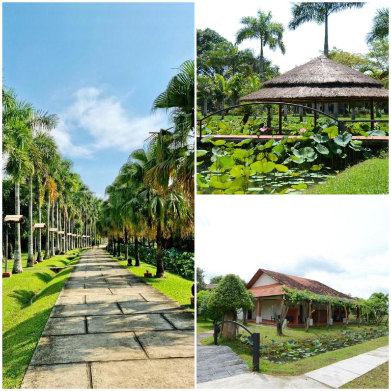 Resort Củ Chi này sở hữu những view sống ảo với thiên nhiên đẹp như trong tranh. 