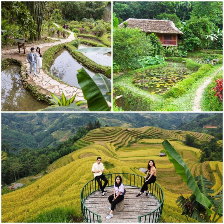 Panhou Retreat Resort Hà Giang sở hữu khuôn viên xanh với dòng suối và hàng loạt góc check in ruộng bậc thang cực hot (nguồn: booking.com)