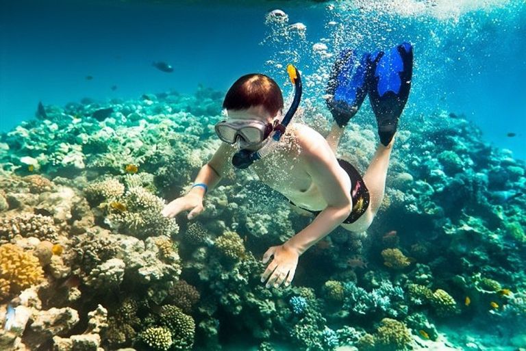 Langchia Nam Du Resort mang đến dịch vụ với trải nghiệm lặn biển mới lạ, khám phá các sinh vật quý hiếm, trang bị đầy đủ dụng cụ cho khách. 