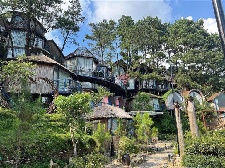 Poko Ecolodge resort Tam Đảo nằm trong rừng thông với diện tích lớn siêu lên tới 7000 mét vuông. 