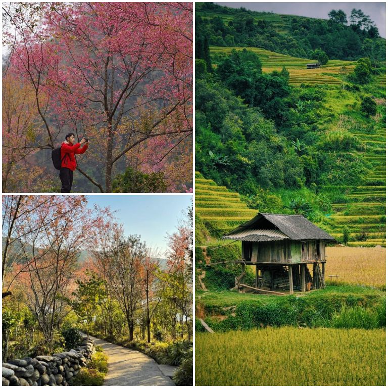 Mu Cang Chai không chỉ nổi tiếng với cảnh quan thiên nhiên đẹp mắt mà còn là nơi gắn liền với văn hóa dân tộc.