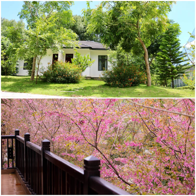 Khu nghỉ dưỡng luôn trú trọng đến không gian sống của du khách vì vậy các bungalow sở hữu view nhìn ra bên ngoài tràn ngập cây xanh và 4 mùa nở hoa.