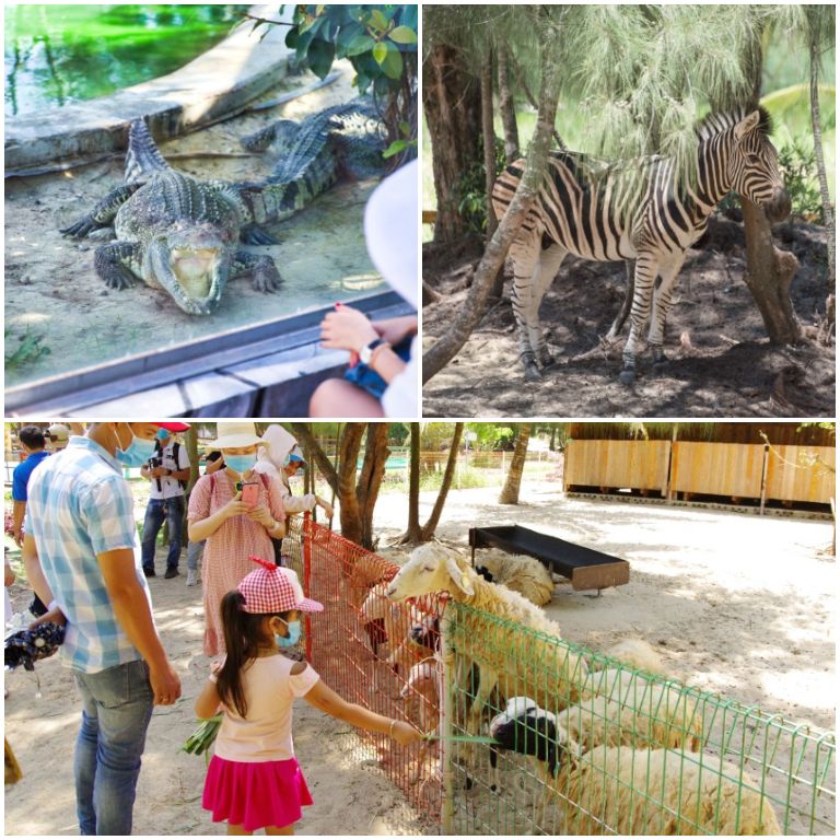 Công viên bảo tồn và giữ gìn hơn 1000 động vật quý hiếm như gấu, đà điểu, cá sấu,... (nguồn: Booking.com).