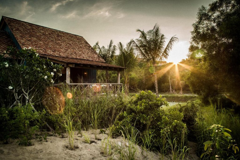 Paddy Field Villa được bao quanh bởi các thảm thực vật xanh, có tầm nhìn đẹp ra ruộng lúa.