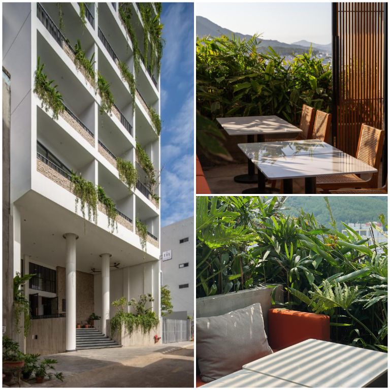 Không gian xanh đặc trưng của Khách Sạn Le Mint Quy Nhơn sẽ khiến bạn phải hài lòng tán thưởng. 