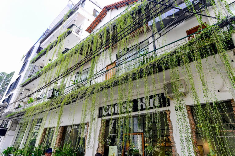 Leaf Signature Hotel mang vẻ ngoài lạ mắt với thiết kế không gian xanh.