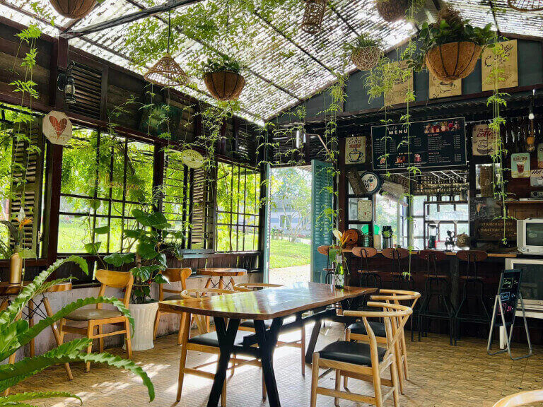 Không gian quán cafe nhẹ nhàng, được trang trí nhiều cây xanh.